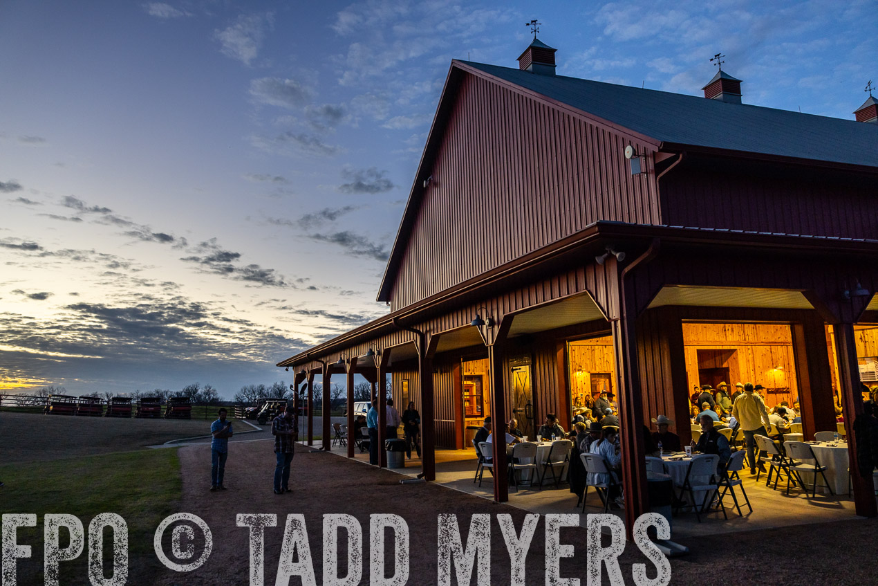 TMyers_SpringBullSale_Cameron_Feb2024-511421