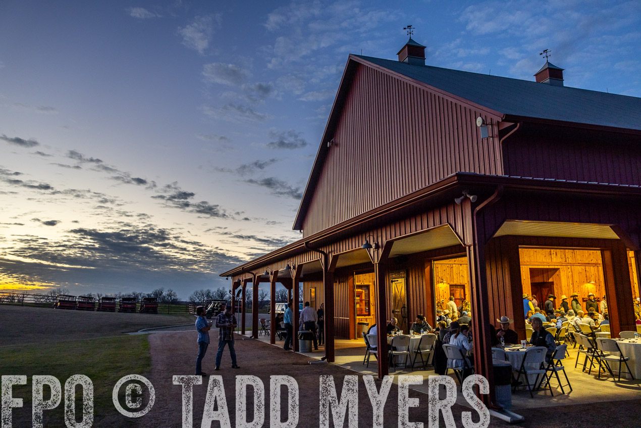 TMyers_SpringBullSale_Cameron_Feb2024-511429