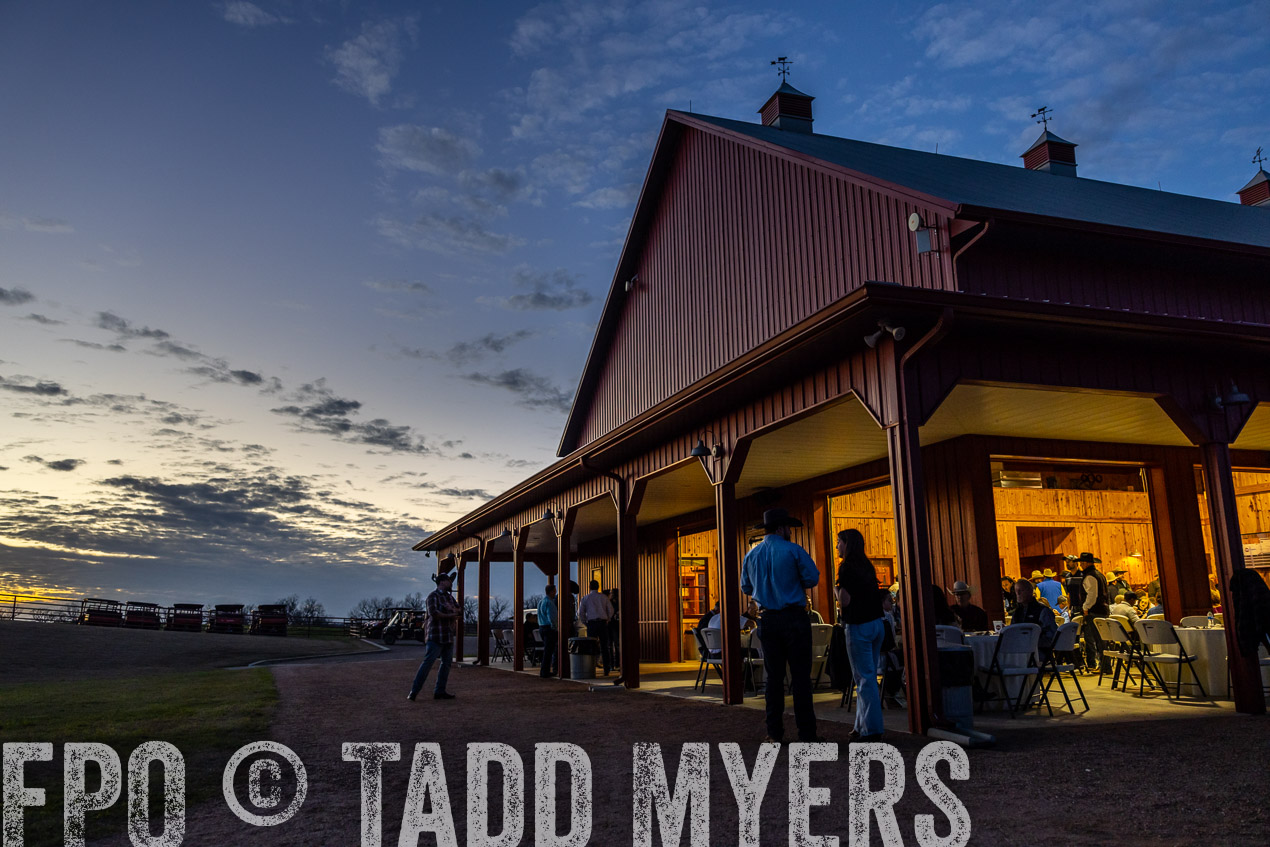 TMyers_SpringBullSale_Cameron_Feb2024-511437