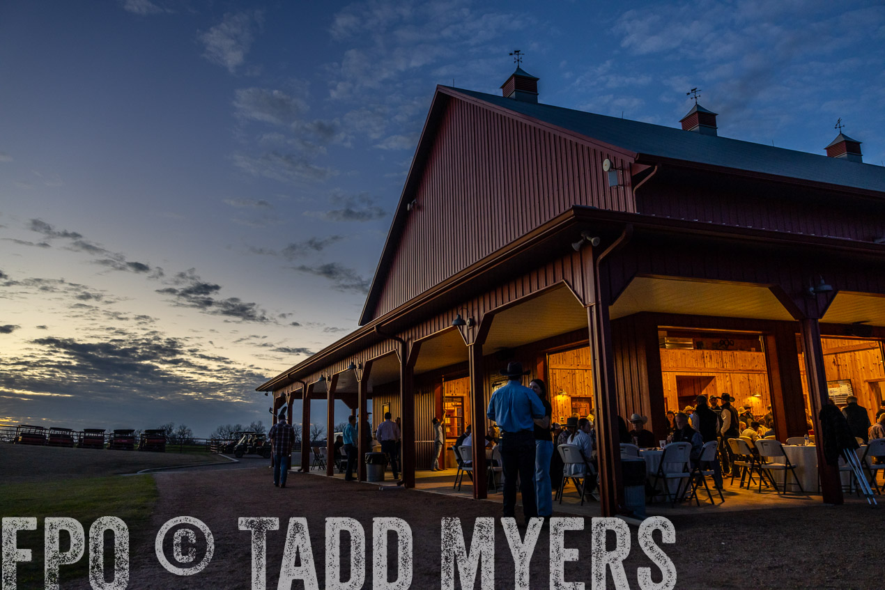 TMyers_SpringBullSale_Cameron_Feb2024-511443