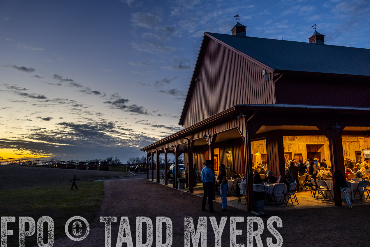 TMyers_SpringBullSale_Cameron_Feb2024-511447