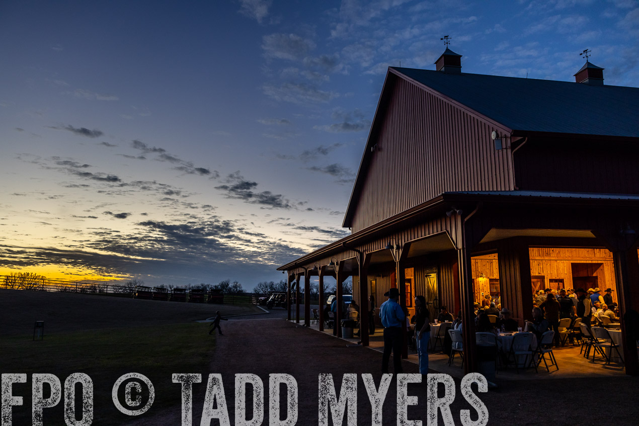 TMyers_SpringBullSale_Cameron_Feb2024-511449