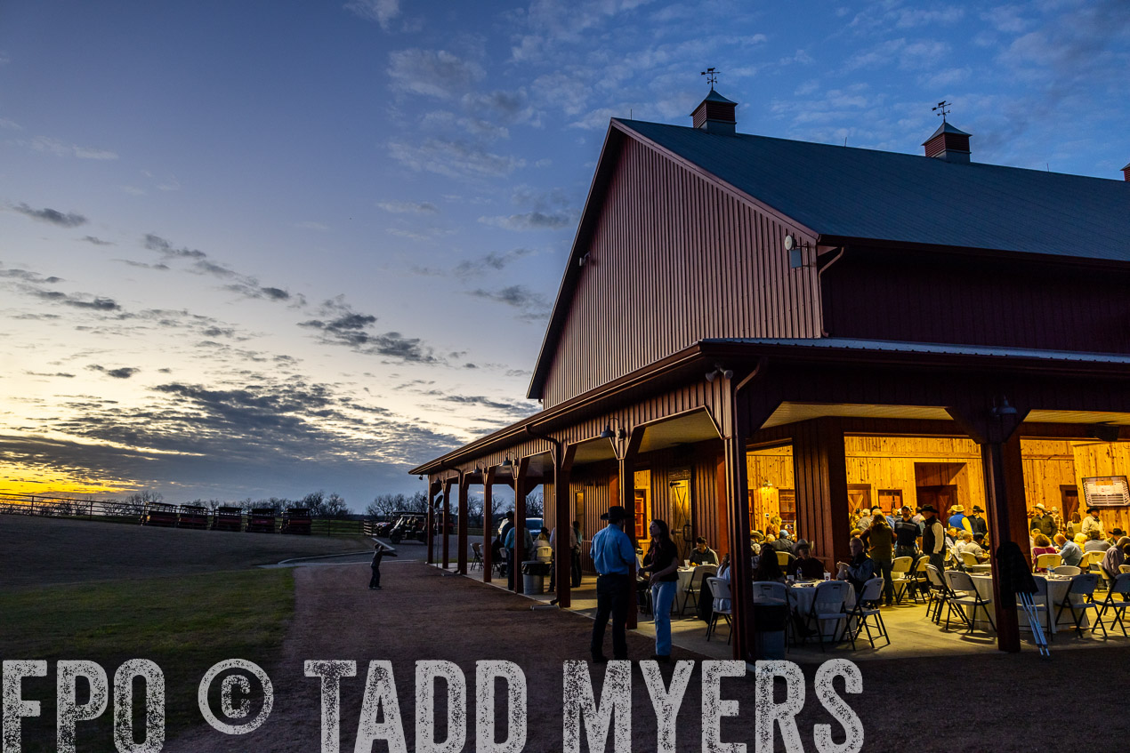 TMyers_SpringBullSale_Cameron_Feb2024-511452