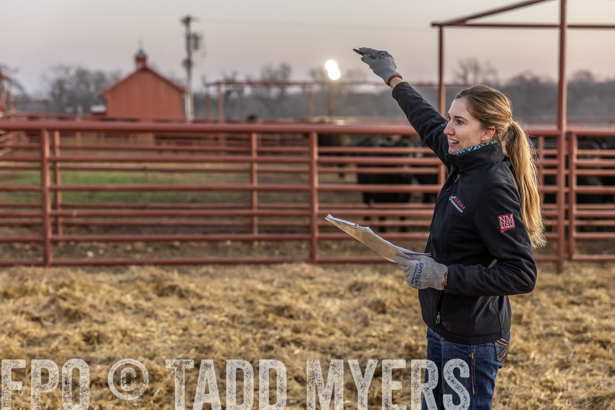 TMyers_SpringBullSale_Cameron_Feb2024-511523