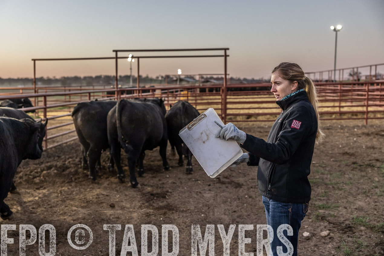 TMyers_SpringBullSale_Cameron_Feb2024-511549