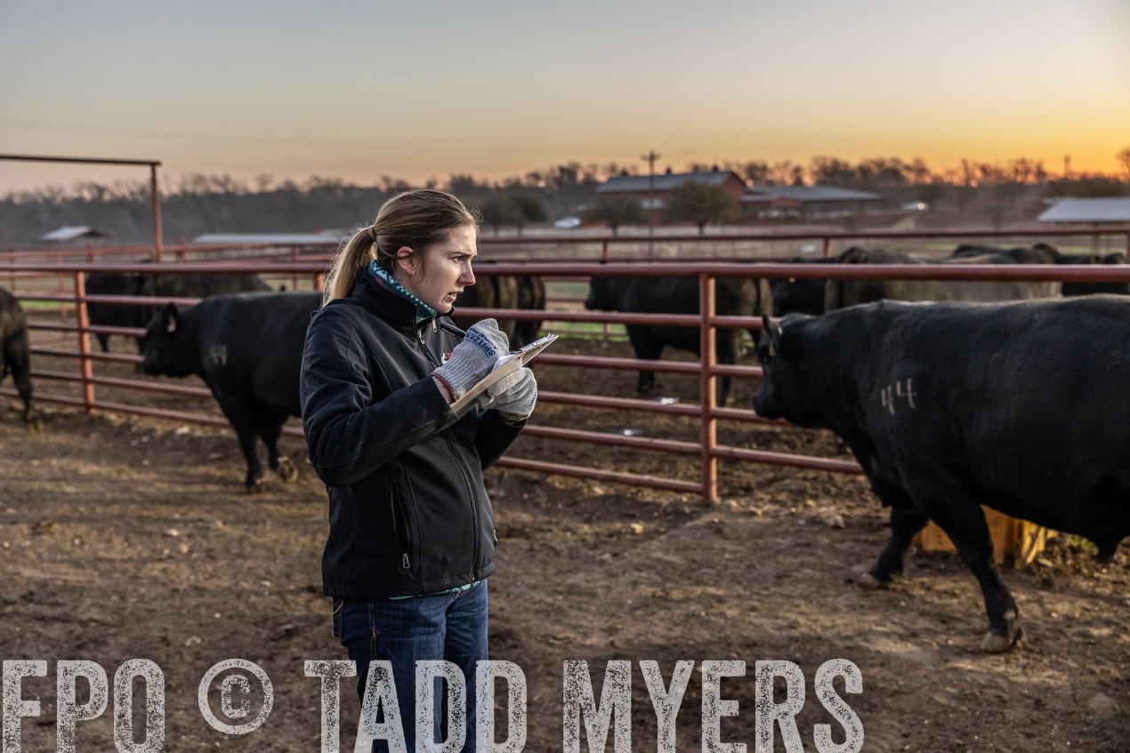 TMyers_SpringBullSale_Cameron_Feb2024-511565