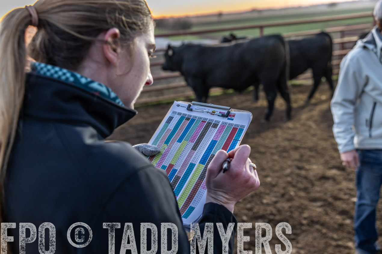 TMyers_SpringBullSale_Cameron_Feb2024-511580