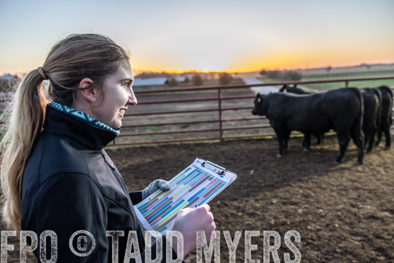 TMyers_SpringBullSale_Cameron_Feb2024-511589