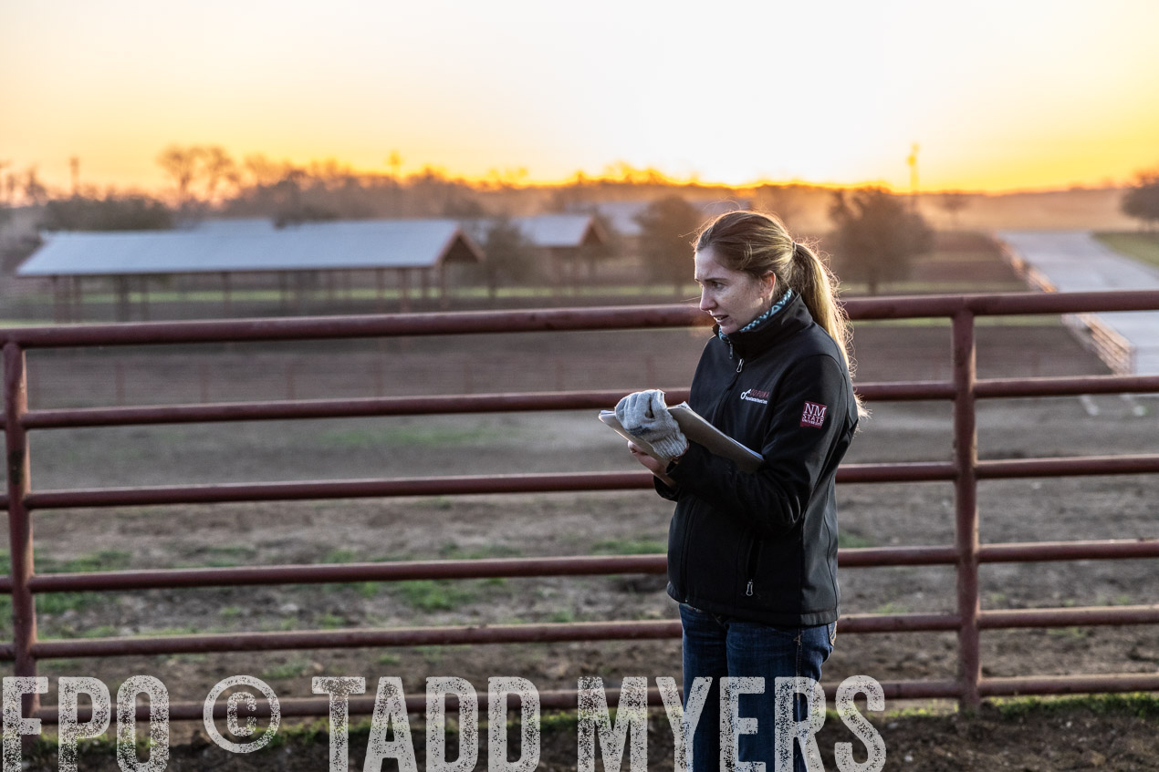 TMyers_SpringBullSale_Cameron_Feb2024-511604