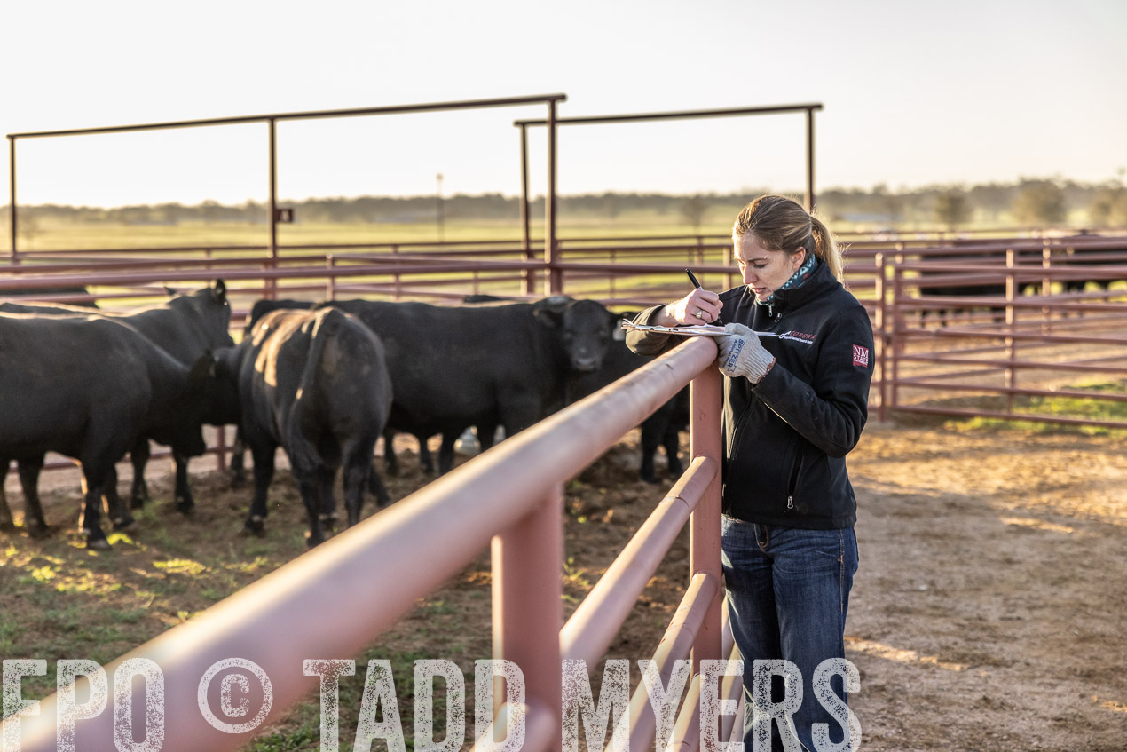 TMyers_SpringBullSale_Cameron_Feb2024-511971