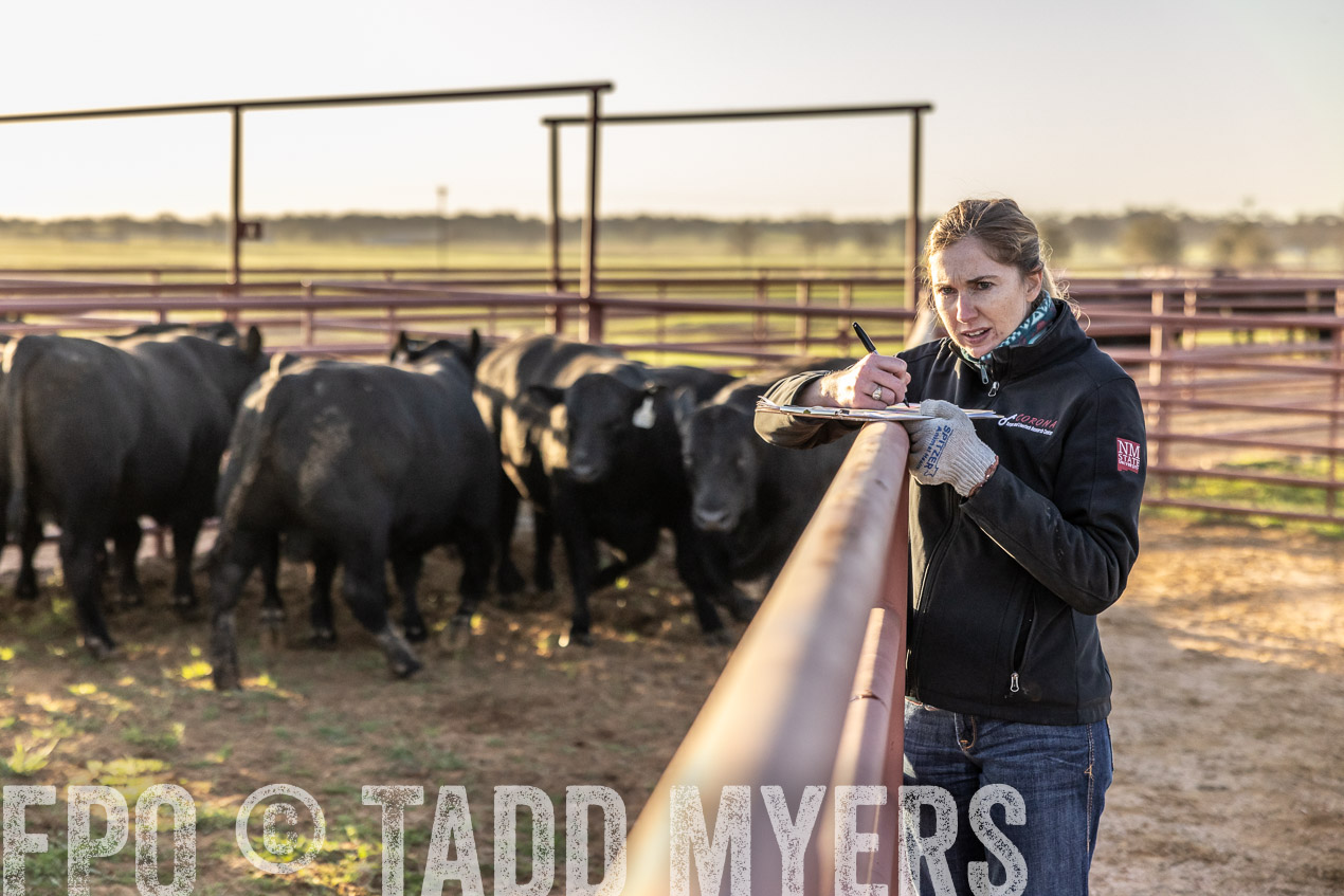 TMyers_SpringBullSale_Cameron_Feb2024-511979