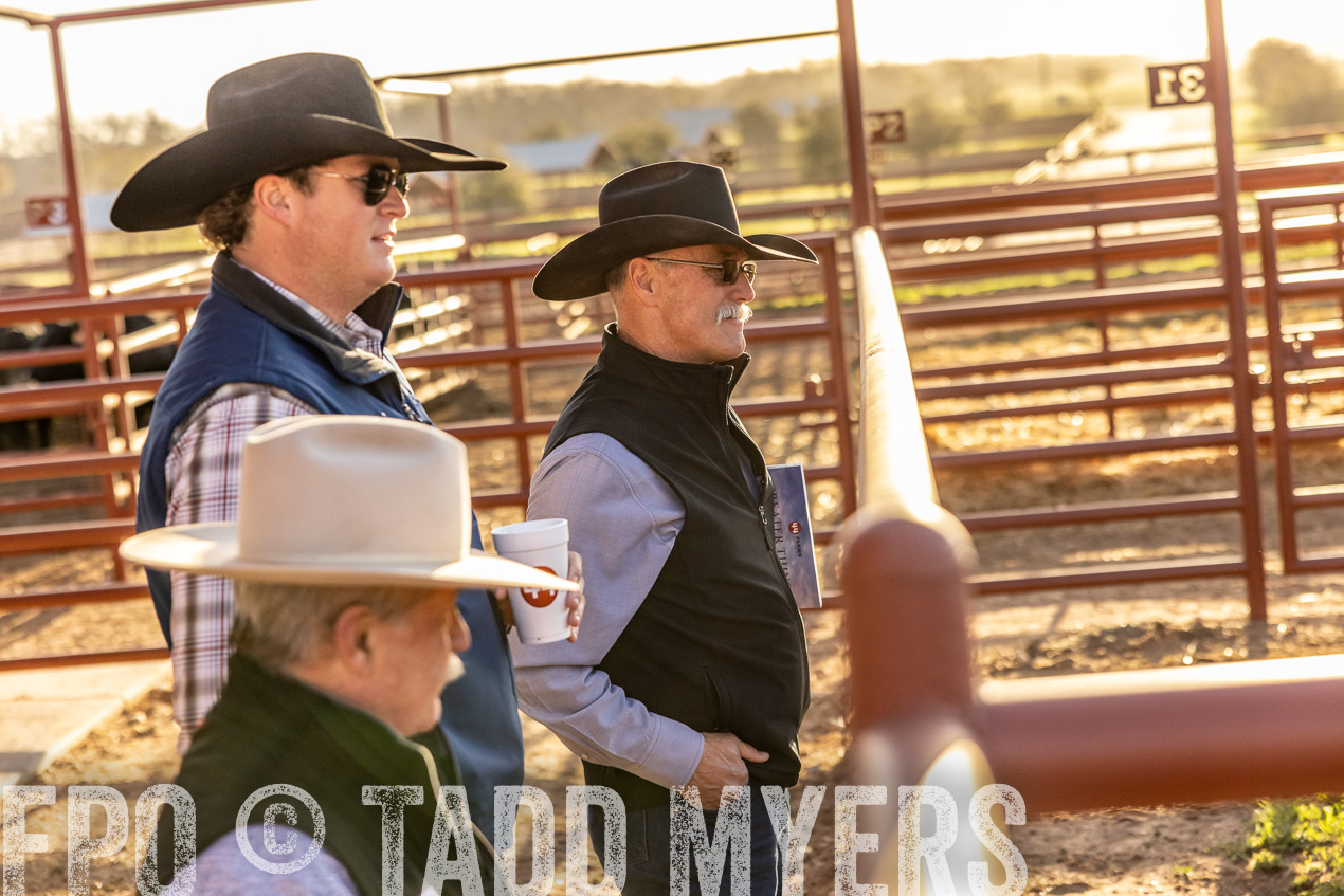 TMyers_SpringBullSale_Cameron_Feb2024-512049