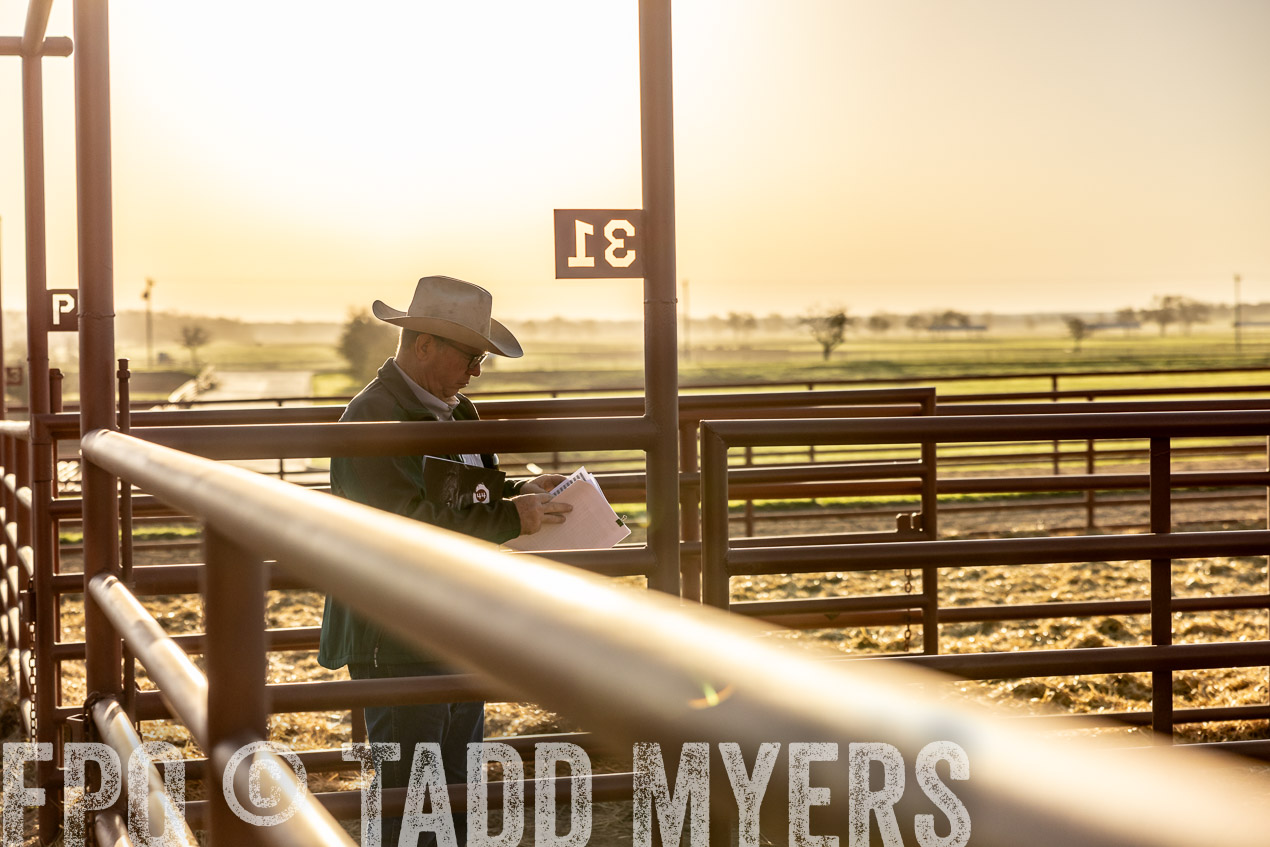 TMyers_SpringBullSale_Cameron_Feb2024-512087