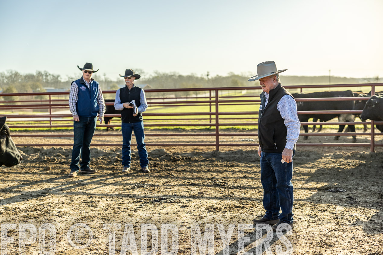 TMyers_SpringBullSale_Cameron_Feb2024-512245