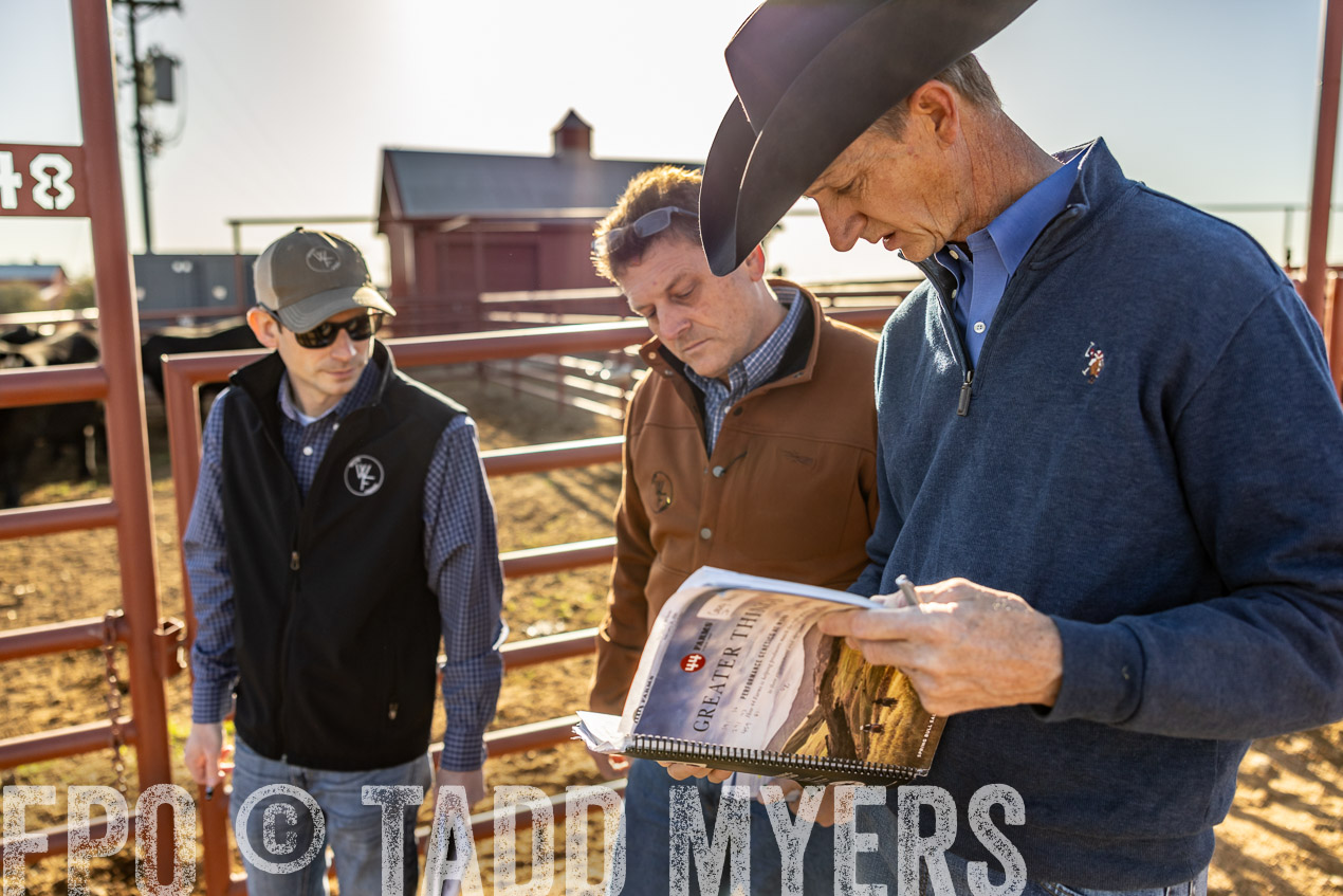 TMyers_SpringBullSale_Cameron_Feb2024-512293