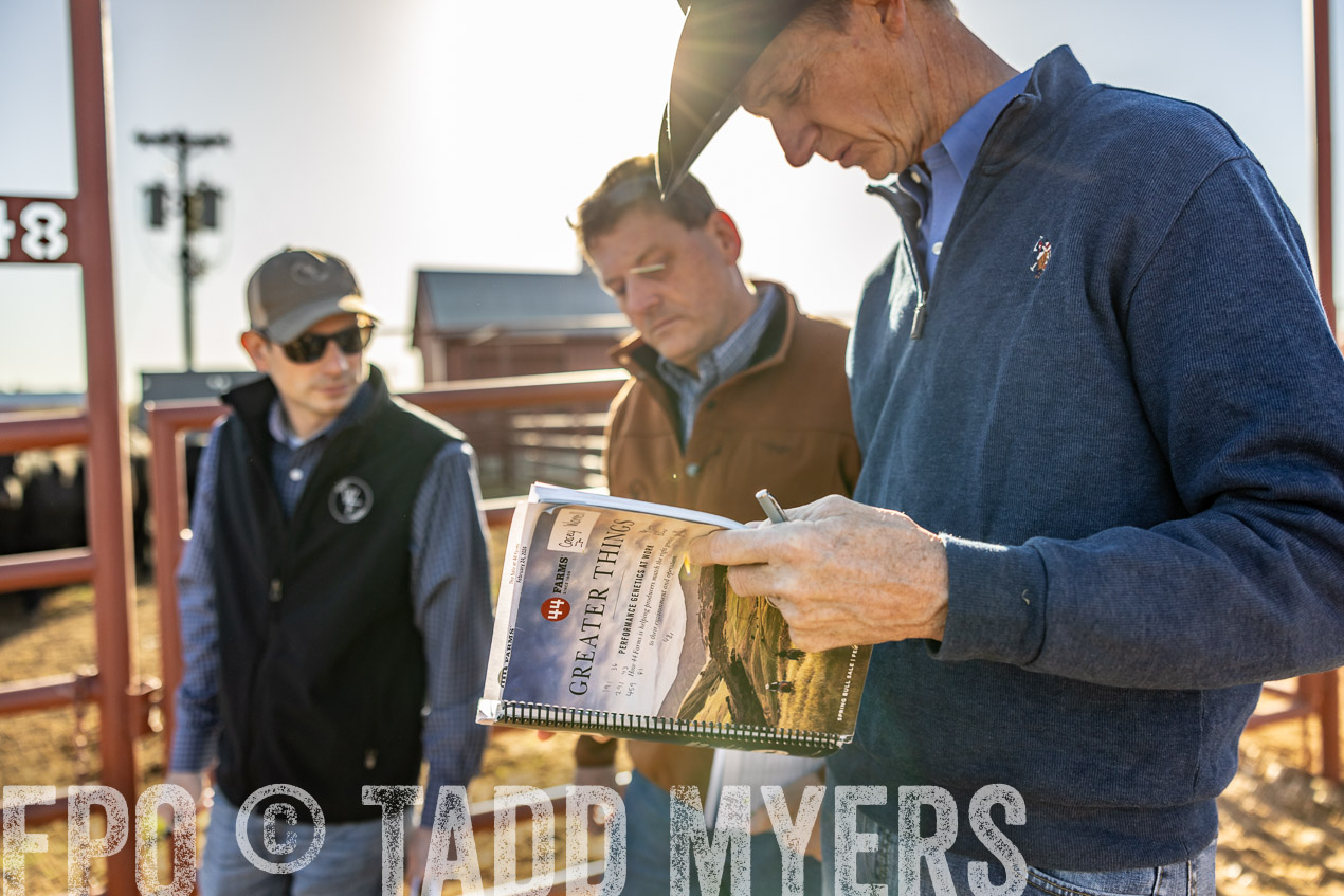 TMyers_SpringBullSale_Cameron_Feb2024-512300
