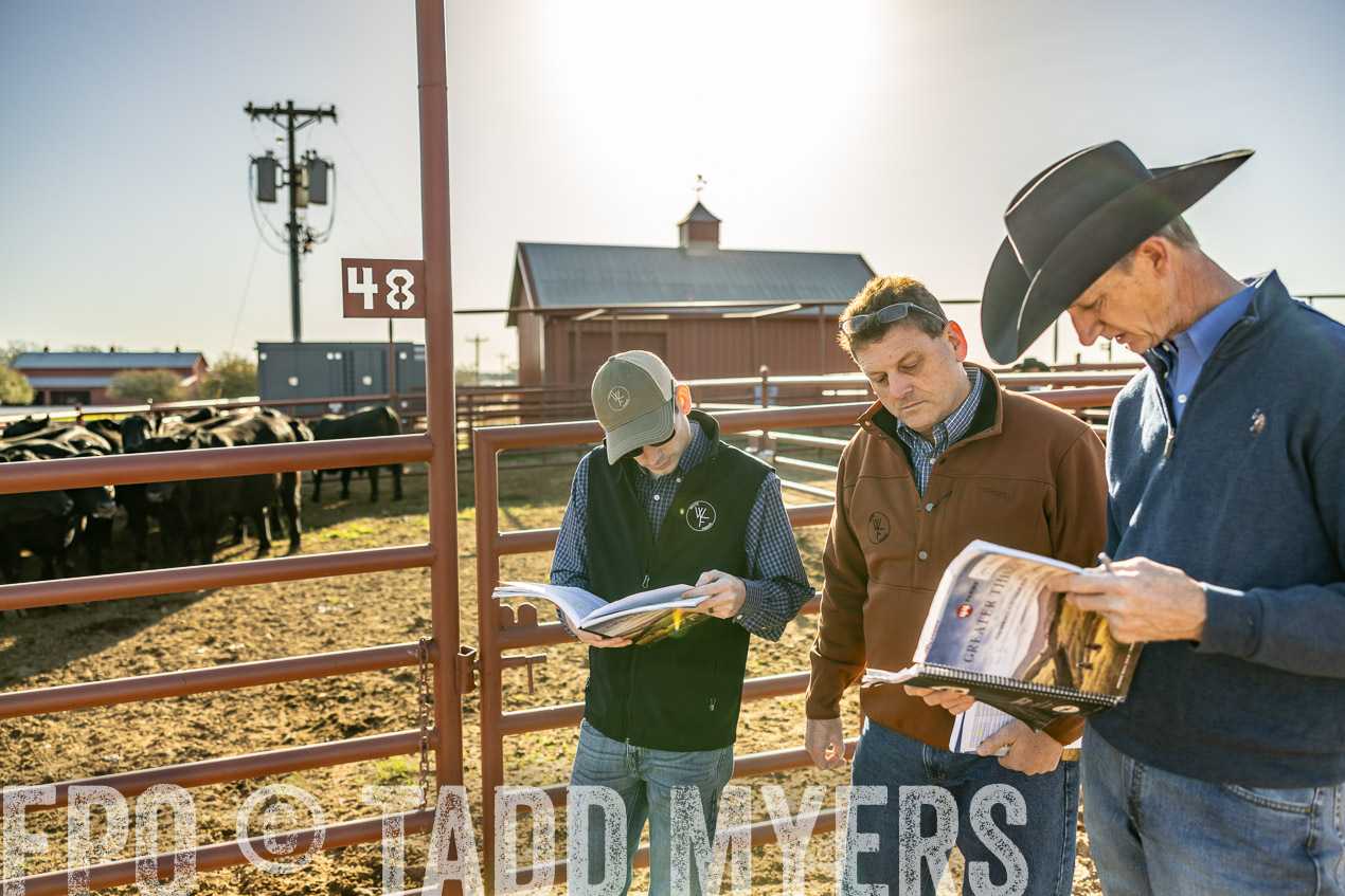 TMyers_SpringBullSale_Cameron_Feb2024-512322