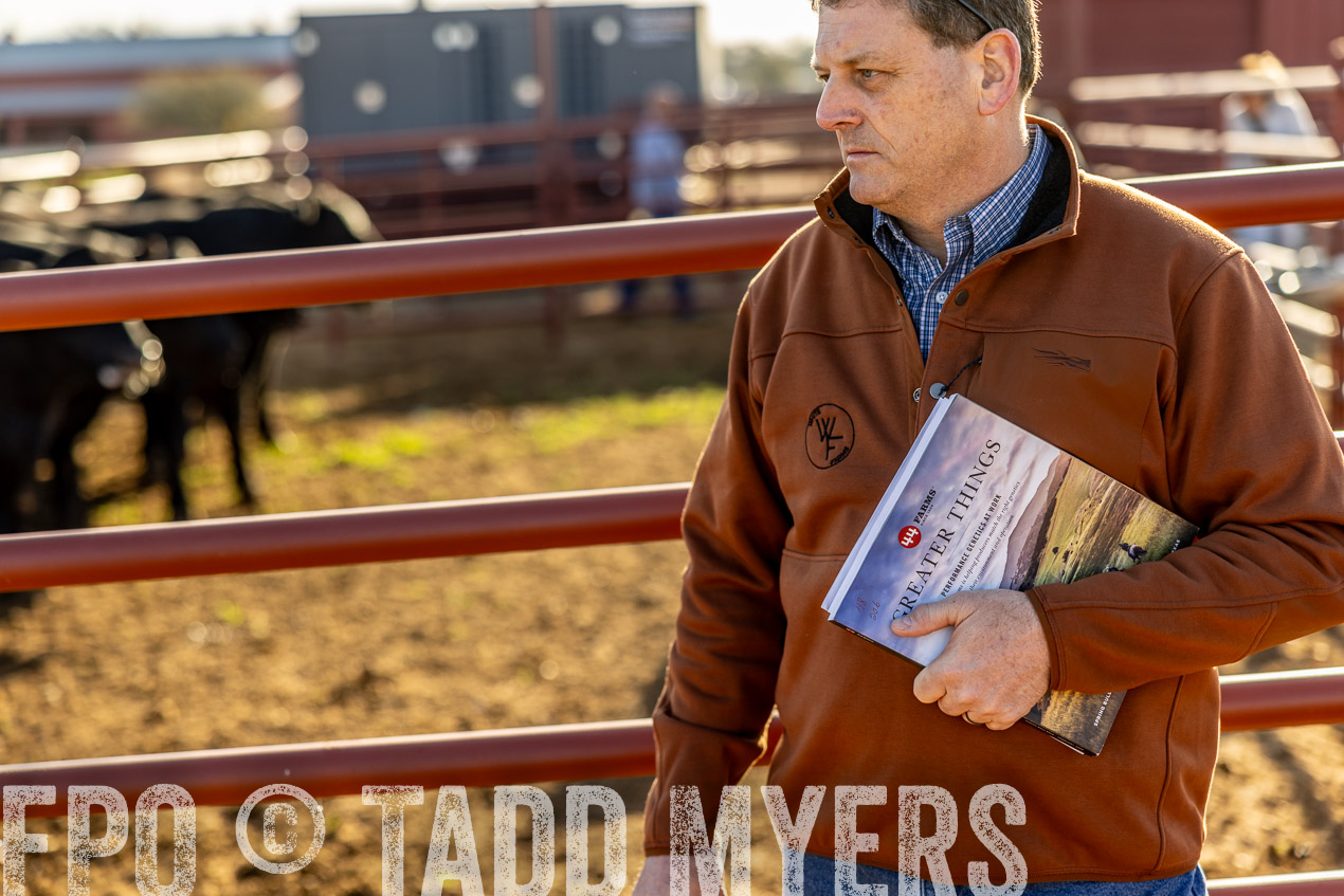 TMyers_SpringBullSale_Cameron_Feb2024-512361