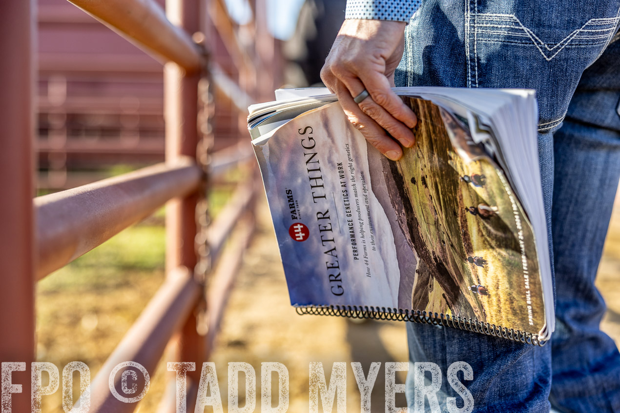 TMyers_SpringBullSale_Cameron_Feb2024-512404