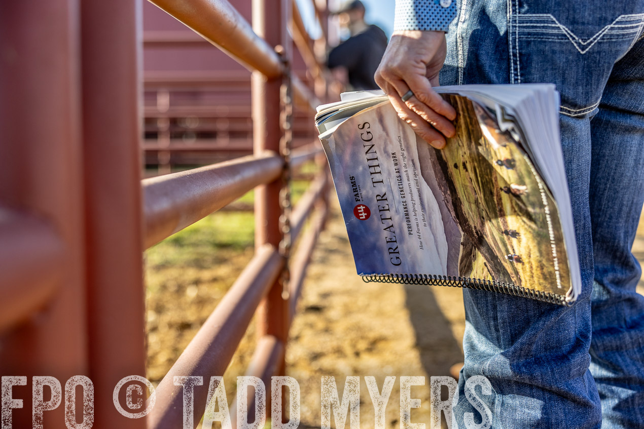 TMyers_SpringBullSale_Cameron_Feb2024-512408