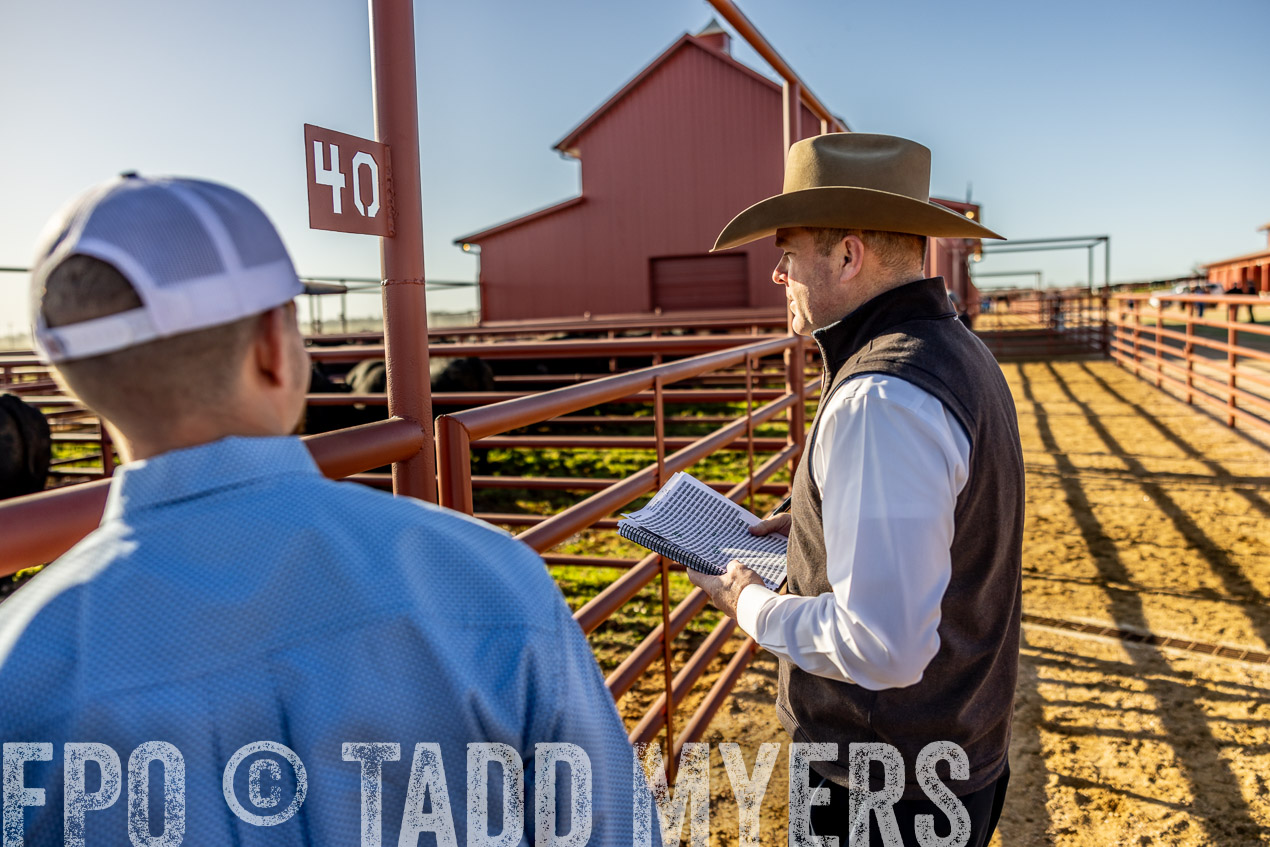 TMyers_SpringBullSale_Cameron_Feb2024-512425