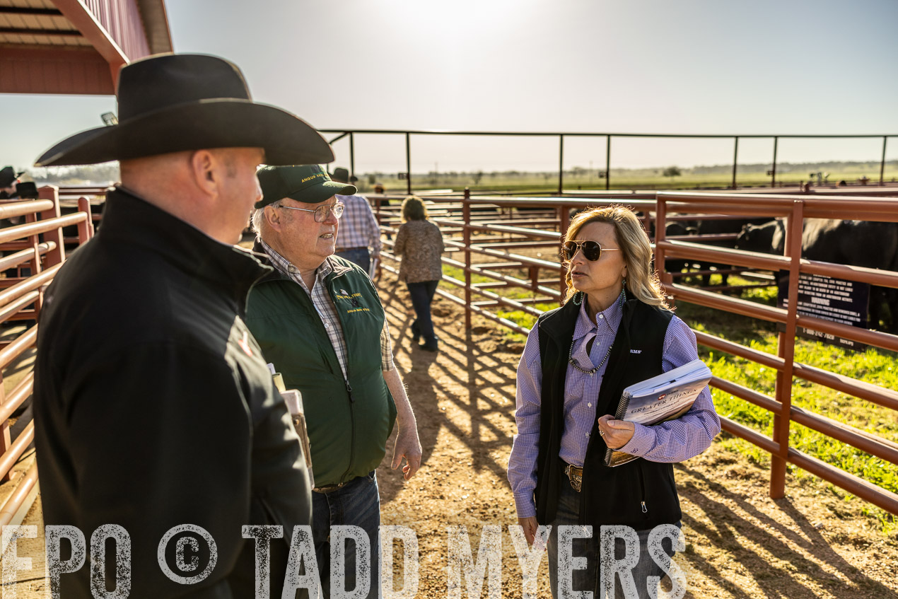 TMyers_SpringBullSale_Cameron_Feb2024-512430