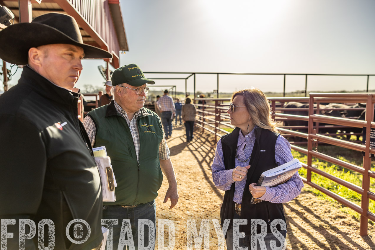 TMyers_SpringBullSale_Cameron_Feb2024-512441