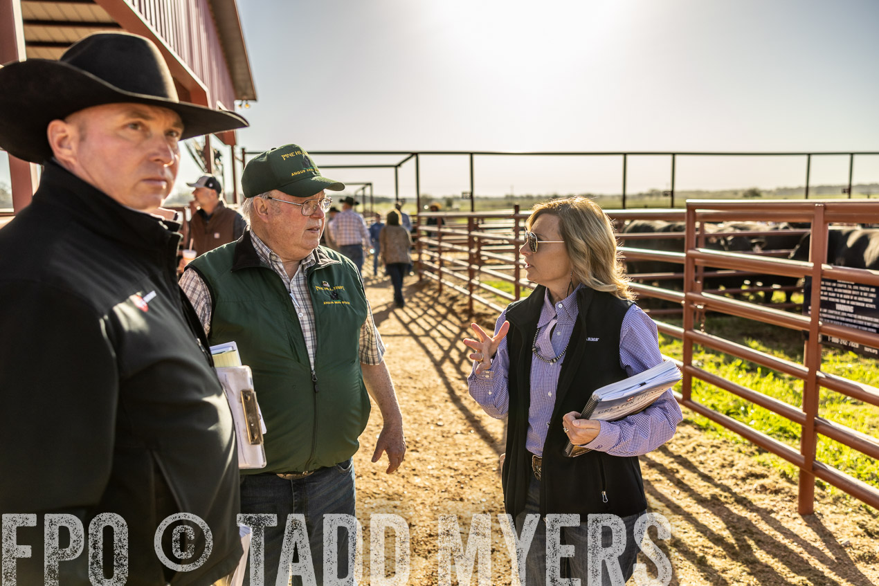 TMyers_SpringBullSale_Cameron_Feb2024-512443