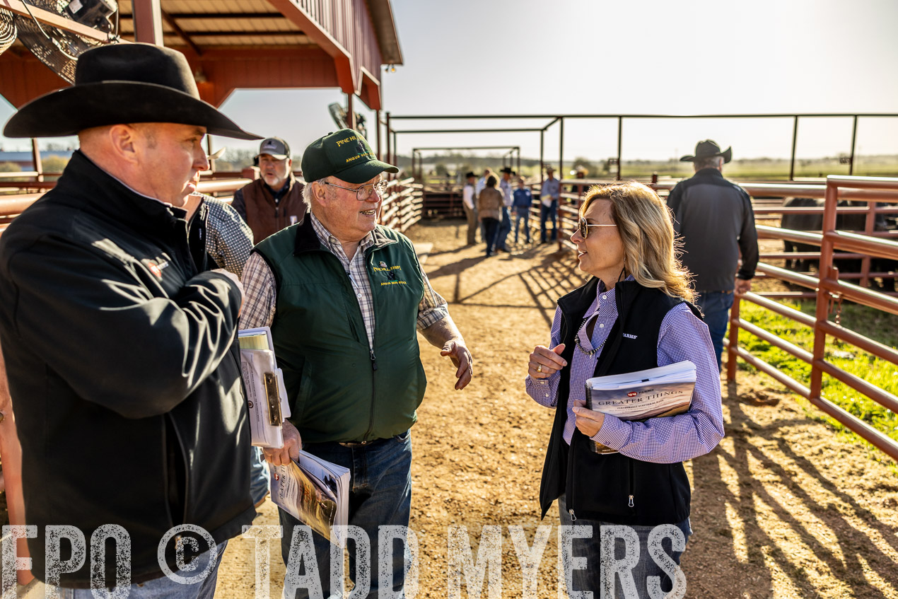TMyers_SpringBullSale_Cameron_Feb2024-512447
