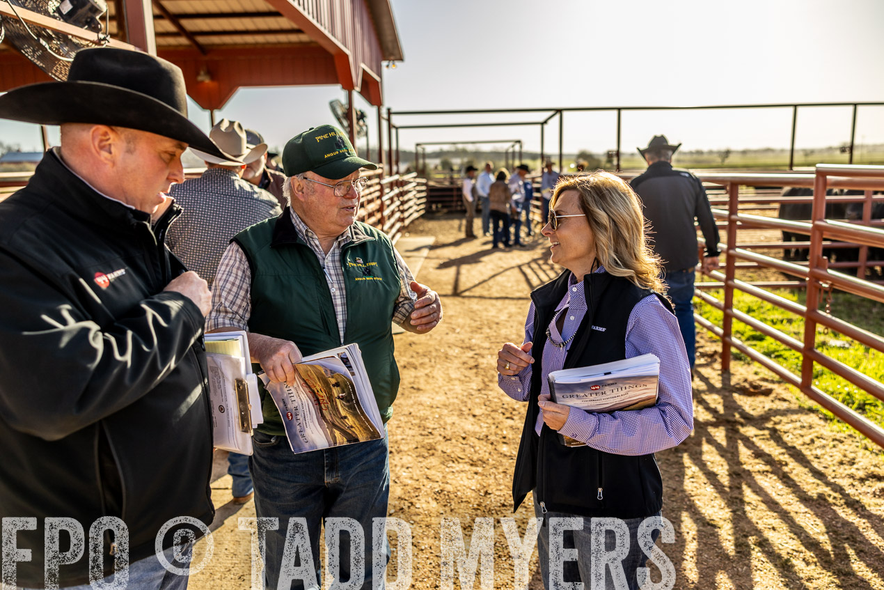 TMyers_SpringBullSale_Cameron_Feb2024-512449