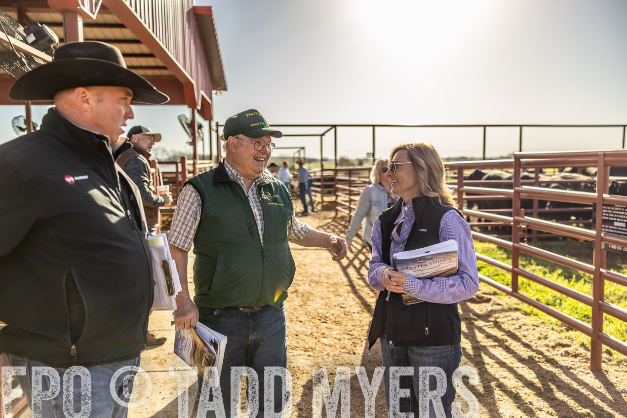 TMyers_SpringBullSale_Cameron_Feb2024-512463