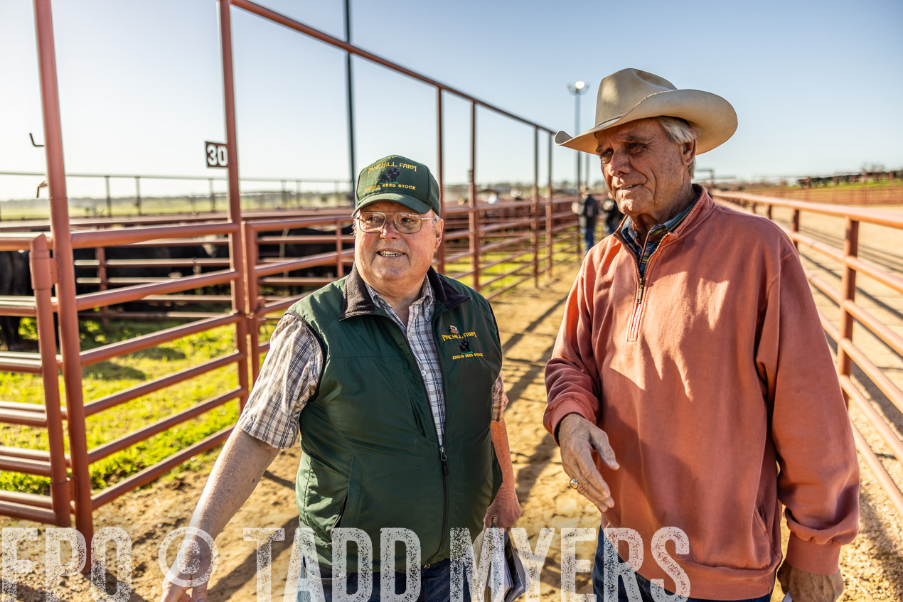 TMyers_SpringBullSale_Cameron_Feb2024-512470