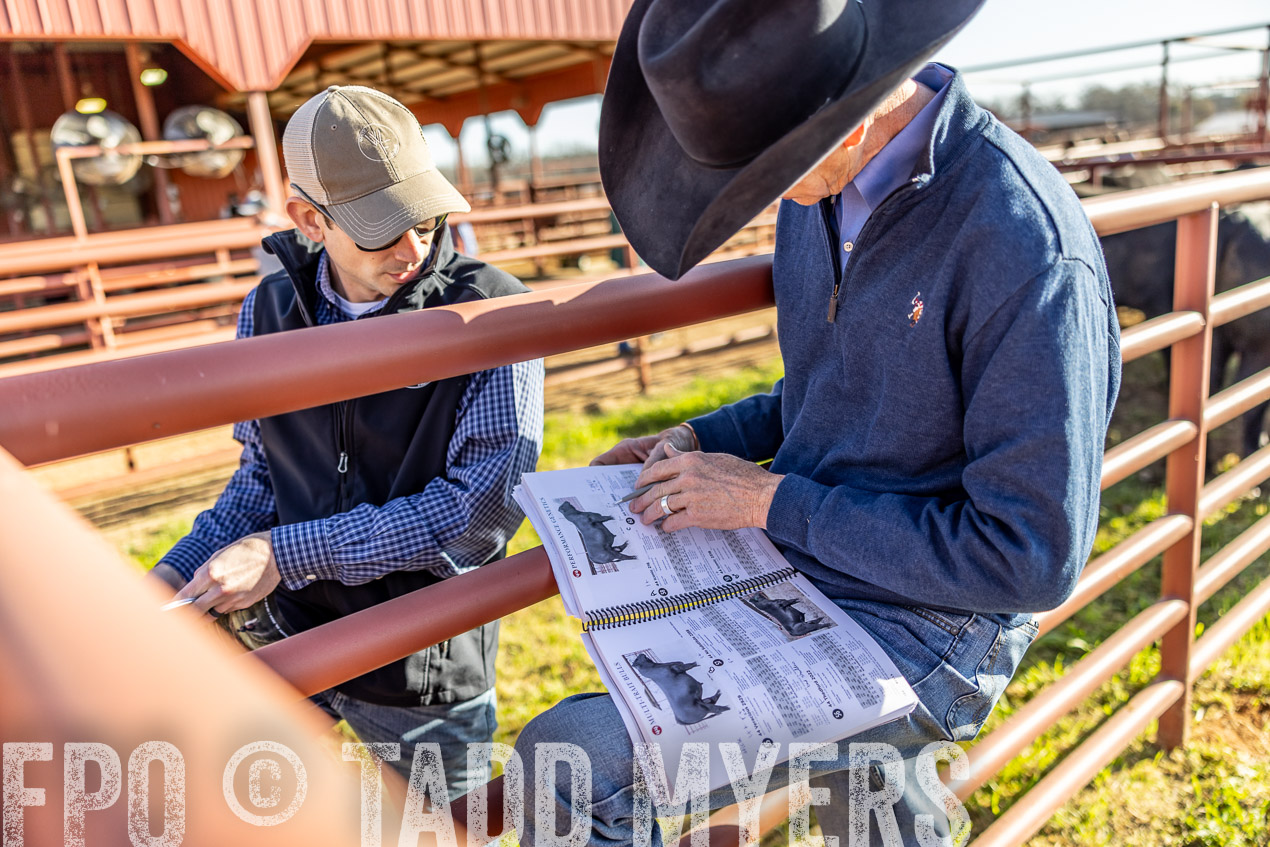 TMyers_SpringBullSale_Cameron_Feb2024-512515