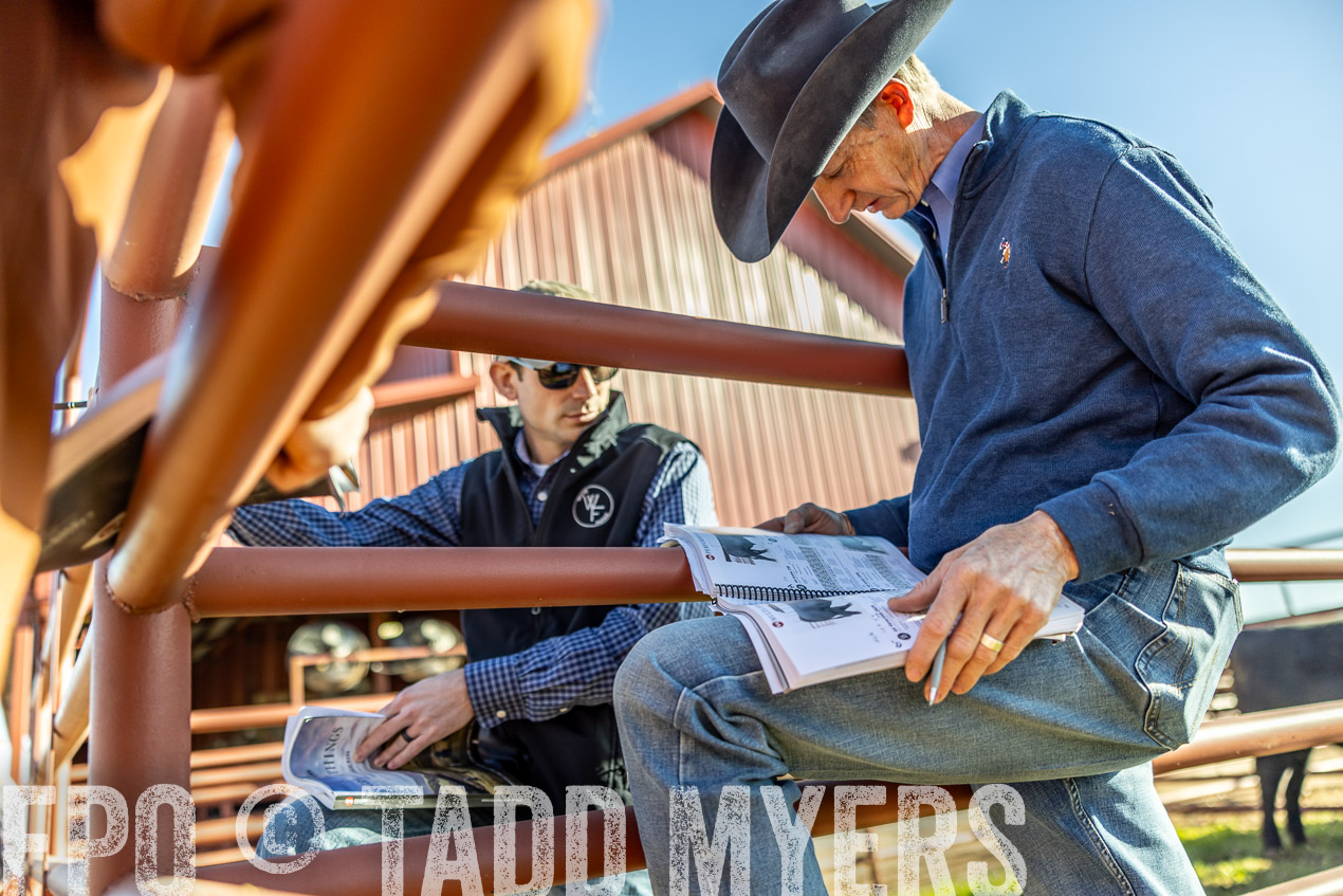 TMyers_SpringBullSale_Cameron_Feb2024-512524