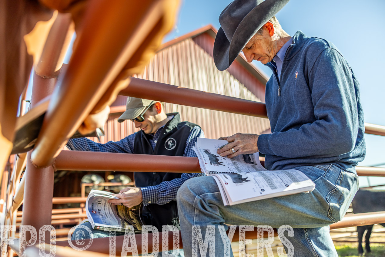 TMyers_SpringBullSale_Cameron_Feb2024-512530