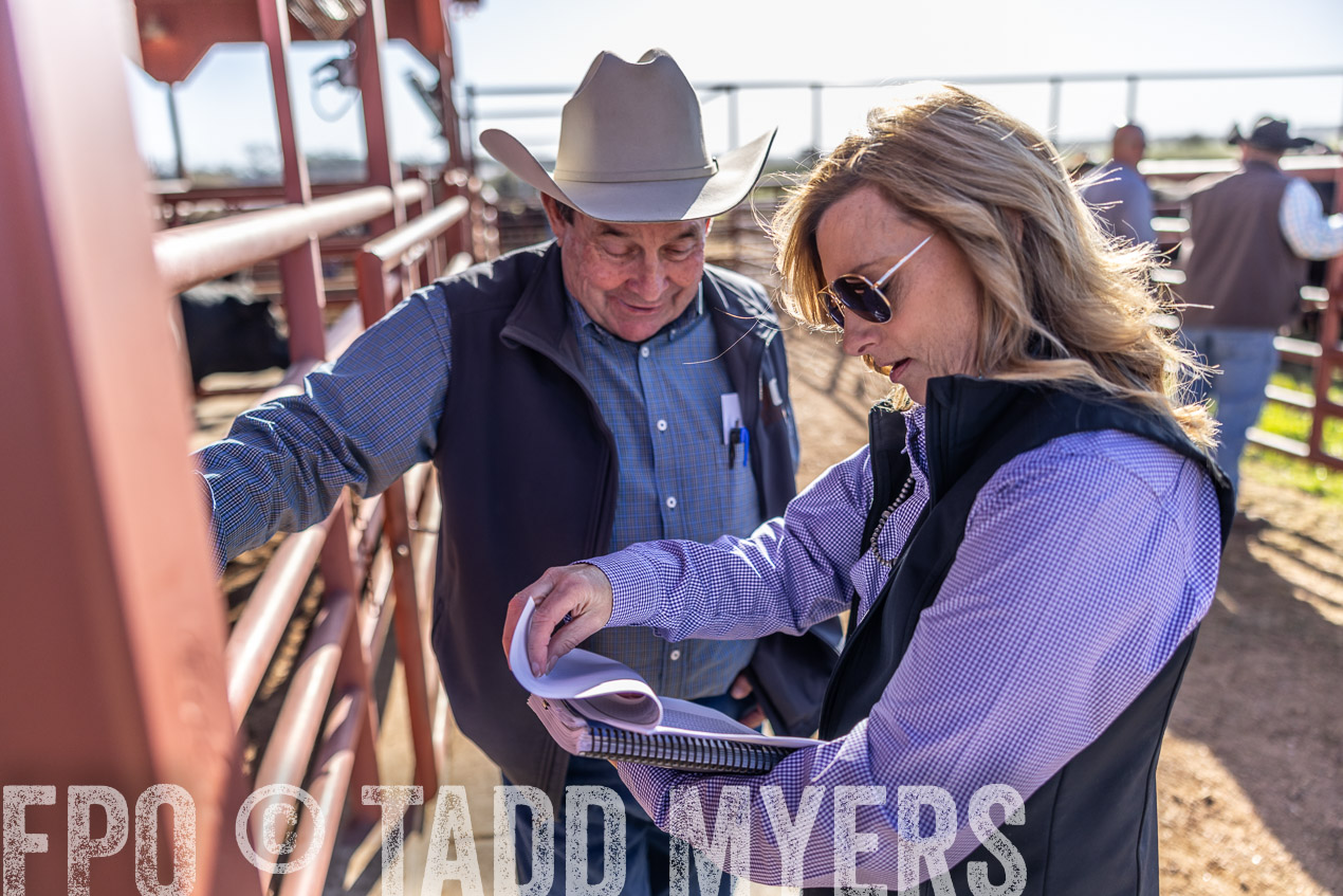 TMyers_SpringBullSale_Cameron_Feb2024-512549