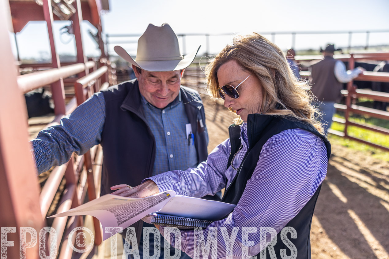 TMyers_SpringBullSale_Cameron_Feb2024-512551