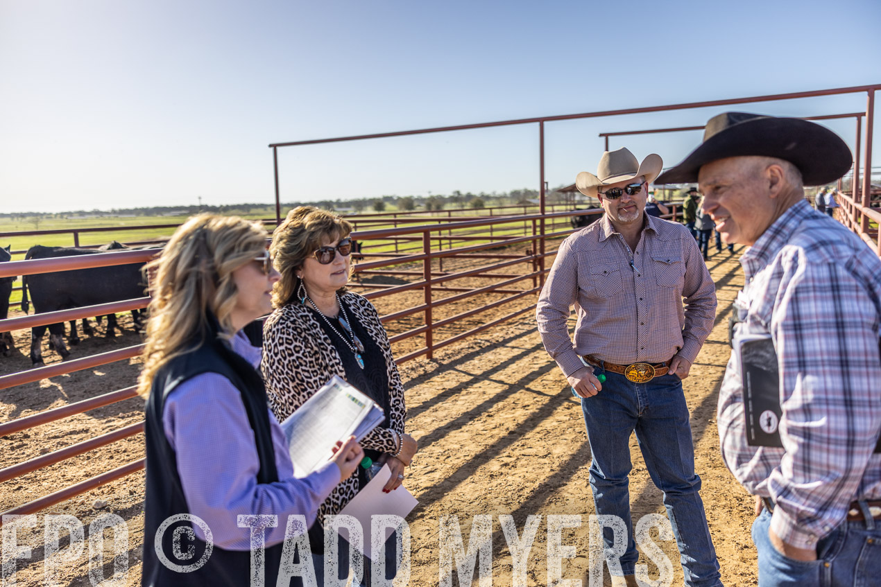 TMyers_SpringBullSale_Cameron_Feb2024-512583