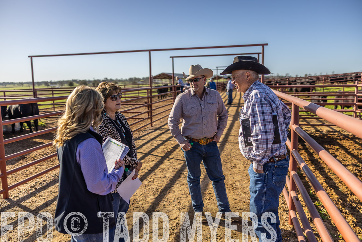 TMyers_SpringBullSale_Cameron_Feb2024-512586