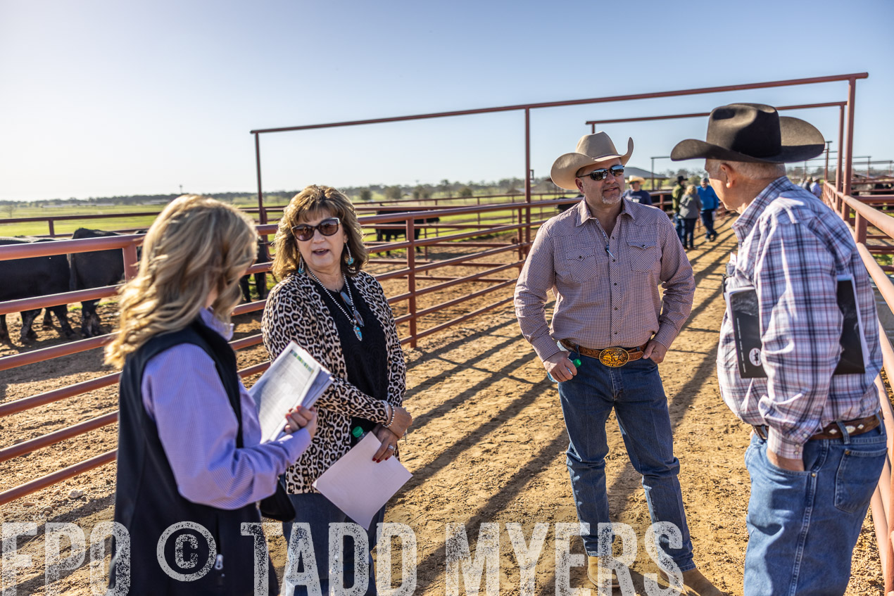 TMyers_SpringBullSale_Cameron_Feb2024-512589