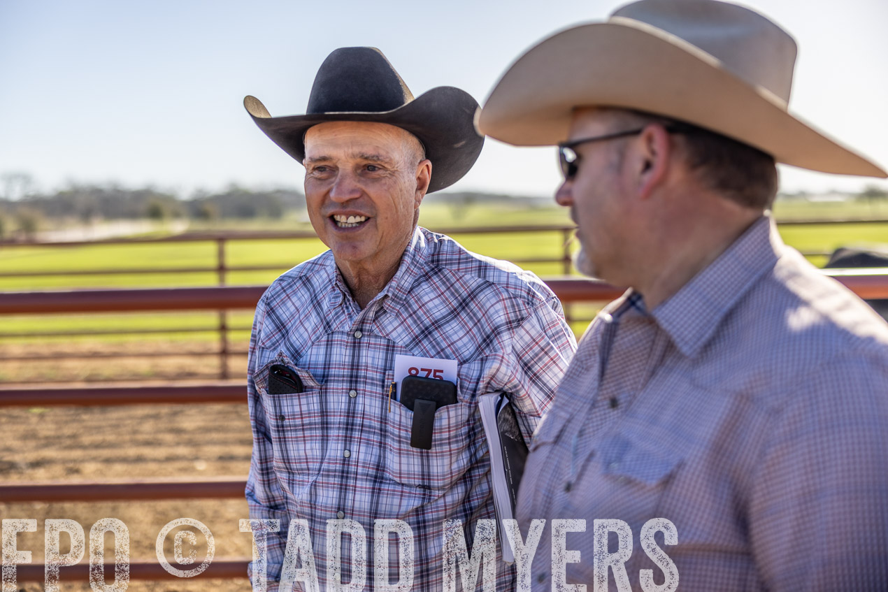 TMyers_SpringBullSale_Cameron_Feb2024-512603
