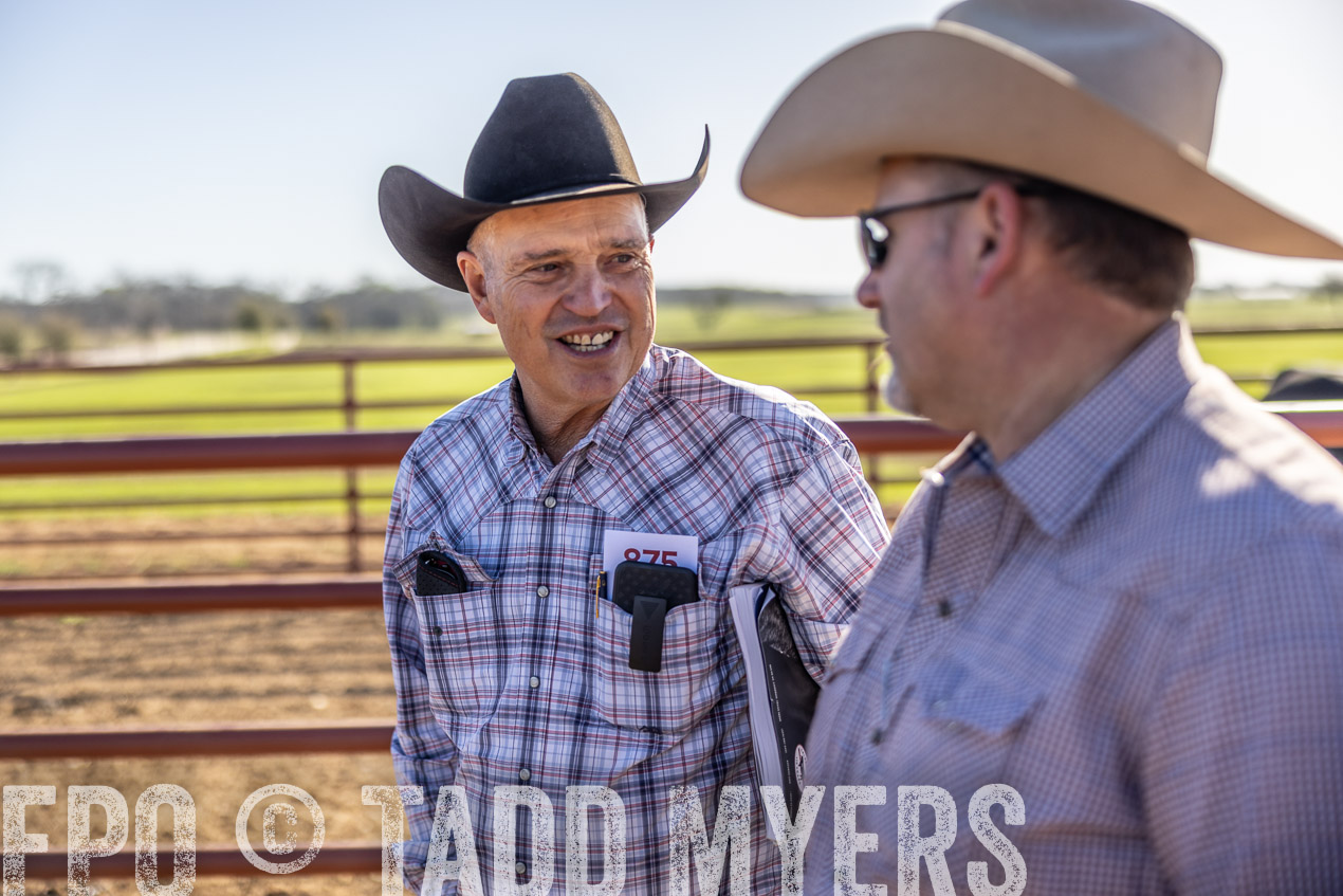 TMyers_SpringBullSale_Cameron_Feb2024-512604