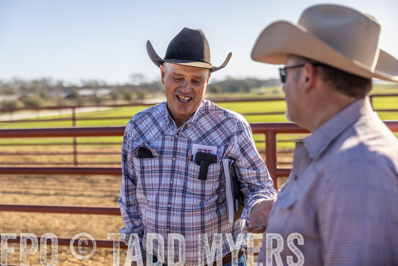 TMyers_SpringBullSale_Cameron_Feb2024-512608