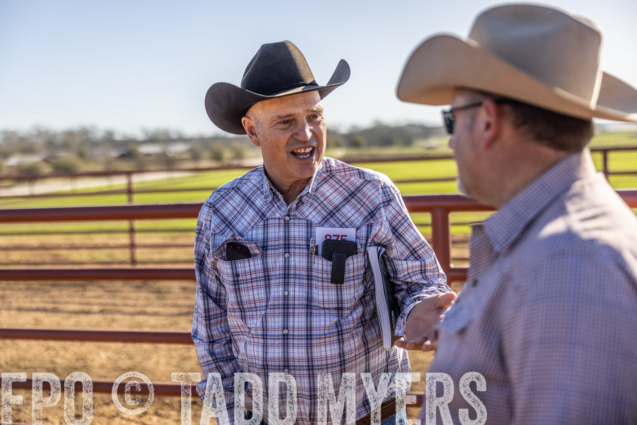 TMyers_SpringBullSale_Cameron_Feb2024-512610