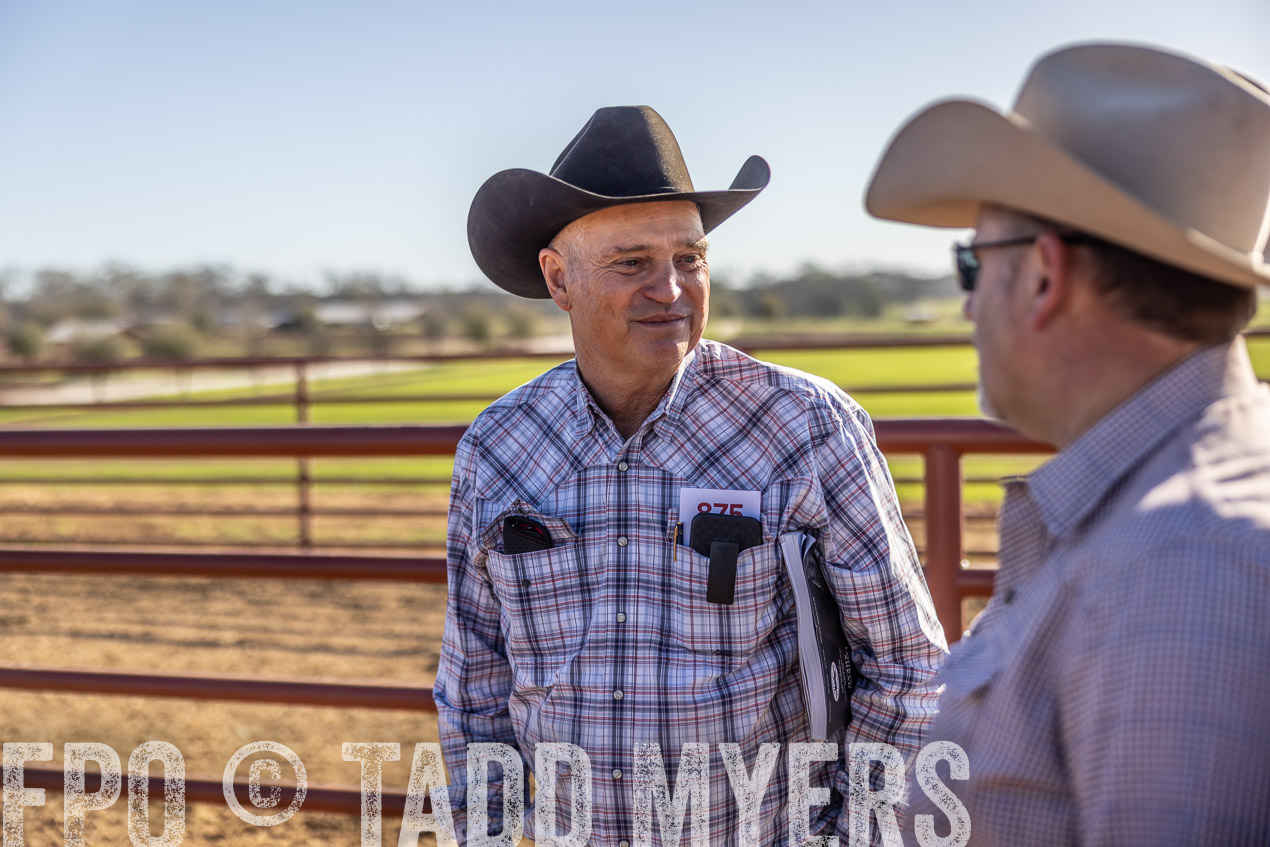 TMyers_SpringBullSale_Cameron_Feb2024-512616