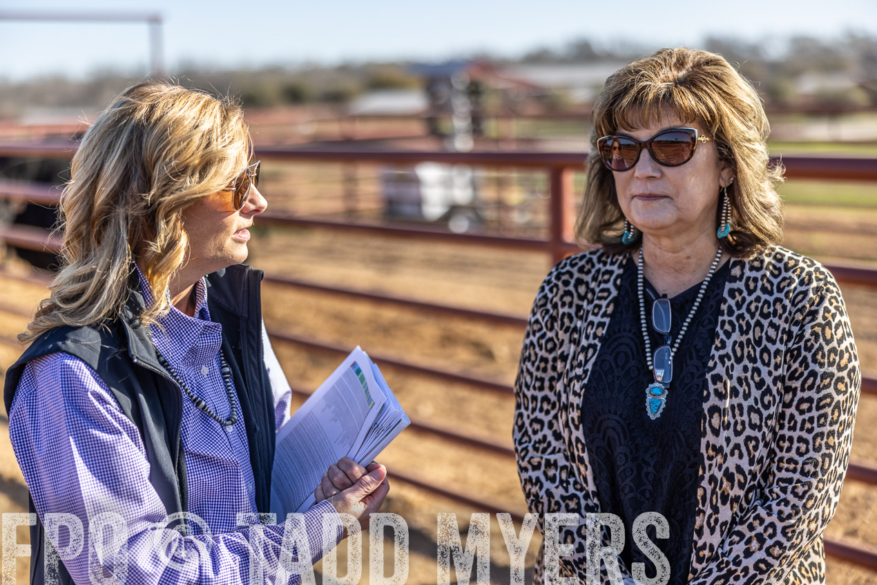 TMyers_SpringBullSale_Cameron_Feb2024-512625