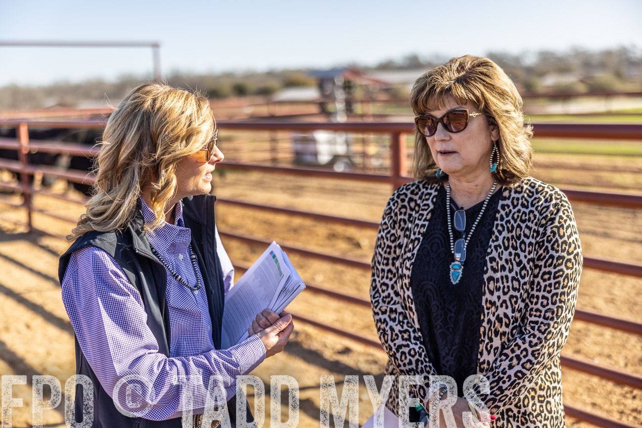TMyers_SpringBullSale_Cameron_Feb2024-512628
