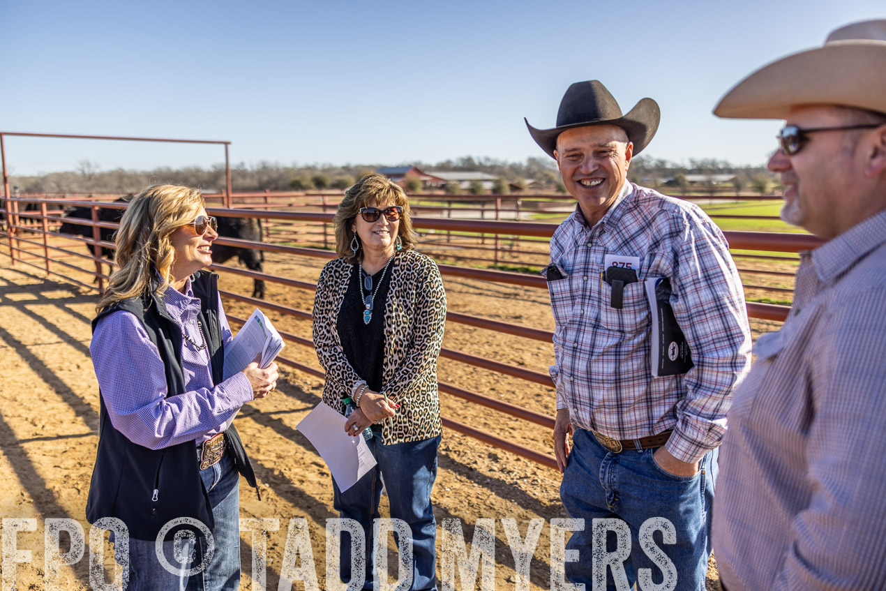 TMyers_SpringBullSale_Cameron_Feb2024-512646