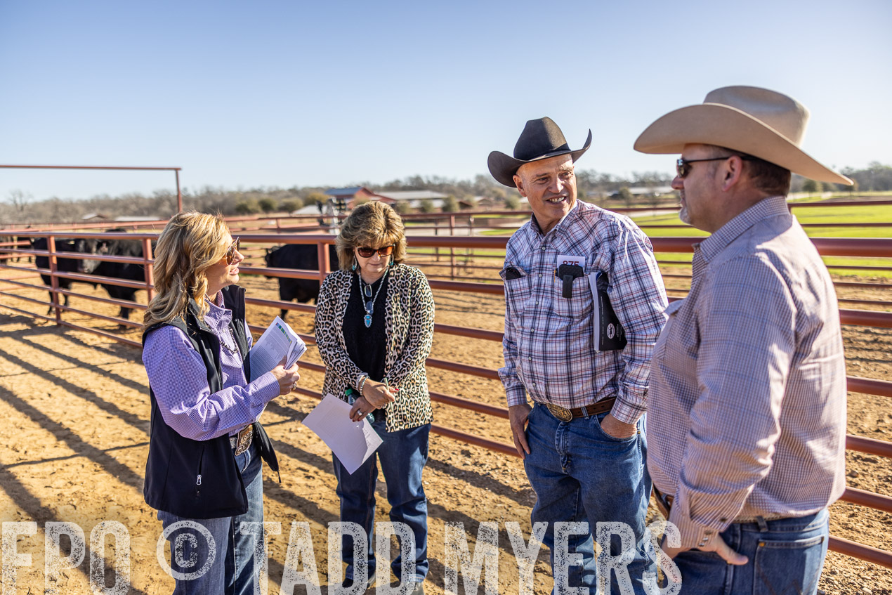TMyers_SpringBullSale_Cameron_Feb2024-512650