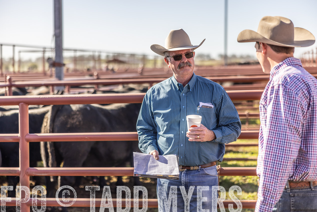 TMyers_SpringBullSale_Cameron_Feb2024-512674